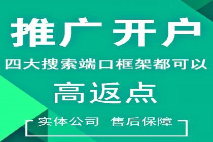 某电商企业如何利用百度搜索推广提升销售额